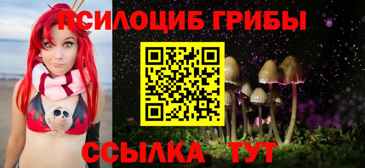 Галлюциногенные грибы Cubensis  Вход с VPN  Южноуральск  Галлюциногенные грибы мицелий 